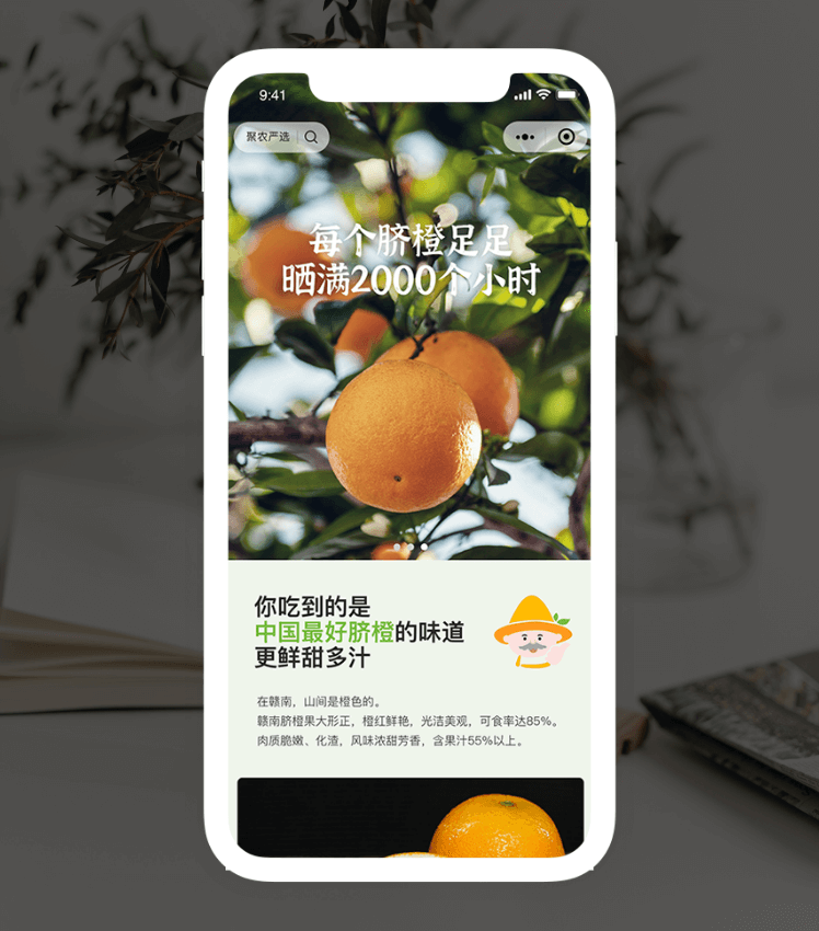 w88win优德(中国)官方网站