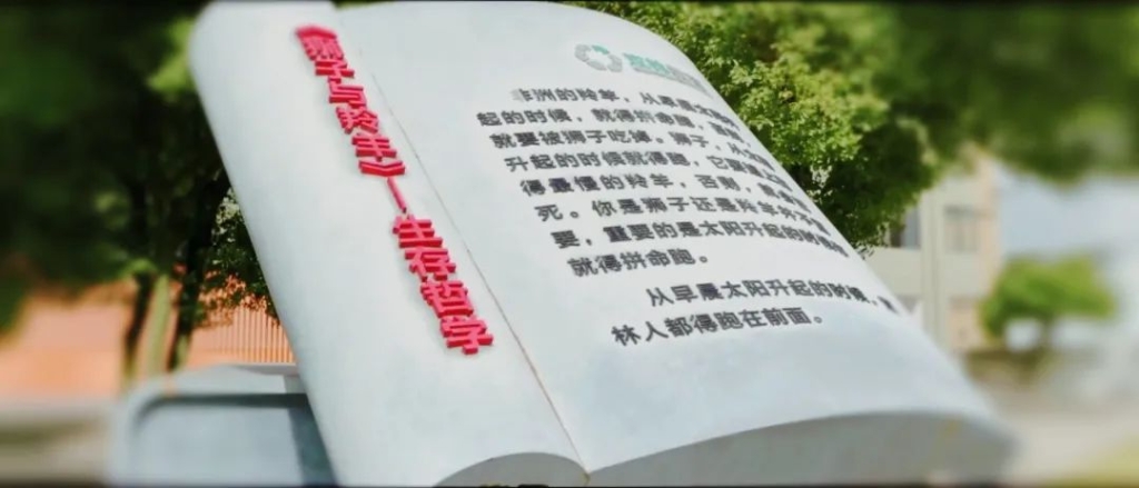 welcome-百乐博